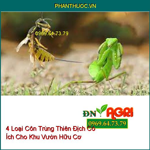 4 Loại Côn Trùng Thiên Địch Có Ích Cho Khu Vườn Hữu Cơ