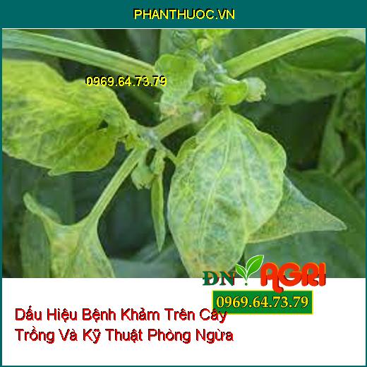 Dấu Hiệu Bệnh Khảm Trên Cây Trồng Và Kỹ Thuật Phòng Ngừa