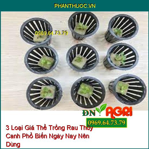 3 Loại Giá Thể Trồng Rau Thủy Canh Phổ Biến Ngày Nay Nên Dùng