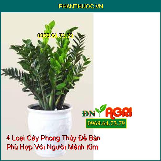 4 Loại Cây Phong Thủy Để Bàn Phù Hợp Với Người Mệnh Kim