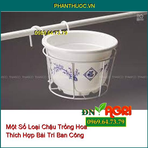 Một Số Loại Chậu Trồng Hoa Thích Hợp Bài Trí Ban Công