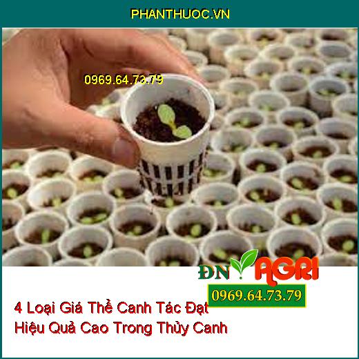 4 Loại Giá Thể Canh Tác Đạt Hiệu Quả Cao Trong Thủy Canh