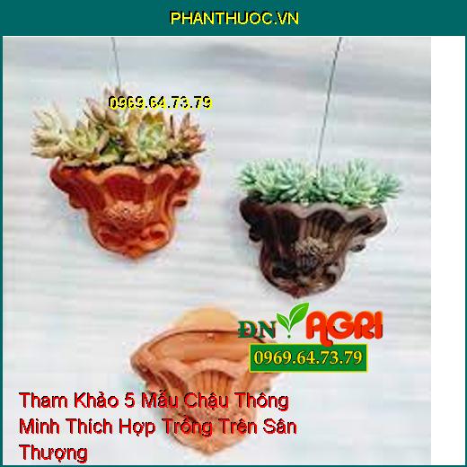 Tham Khảo 5 Mẫu Chậu Thông Minh Thích Hợp Trồng Trên Sân Thượng