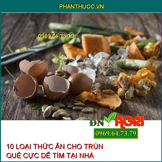 10 LOẠI THỨC ĂN CHO TRÙN QUẾ CỰC DỄ TÌM TẠI NHÀ