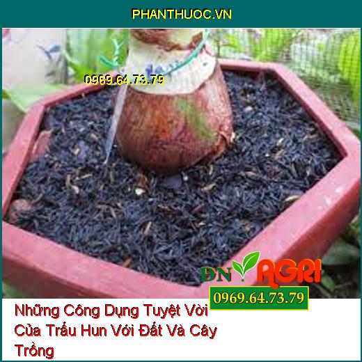 Những Công Dụng Tuyệt Vời Của Trấu Hun Với Đất Và Cây Trồng