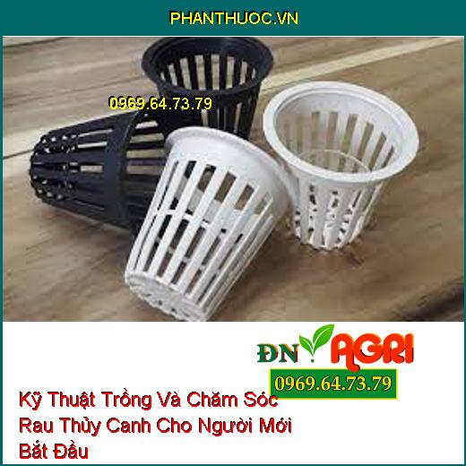 Kỹ Thuật Trồng Và Chăm Sóc Rau Thủy Canh Cho Người Mới Bắt Đầu 