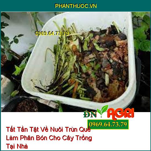 Tất Tần Tật Về Nuôi Trùn Quế Làm Phân Bón Cho Cây Trồng Tại Nhà