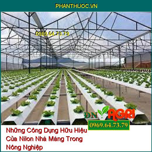 Những Công Dụng Hữu Hiệu Của Nilon Nhà Màng Trong Nông Nghiệp