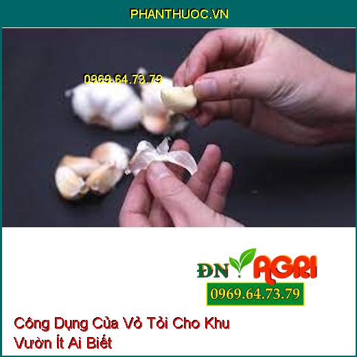 Công Dụng Của Vỏ Tỏi Cho Khu Vườn Ít Ai Biết