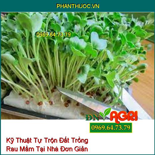 Kỹ Thuật Tự Trộn Đất Trồng Rau Mầm Tại Nhà Đơn Giản