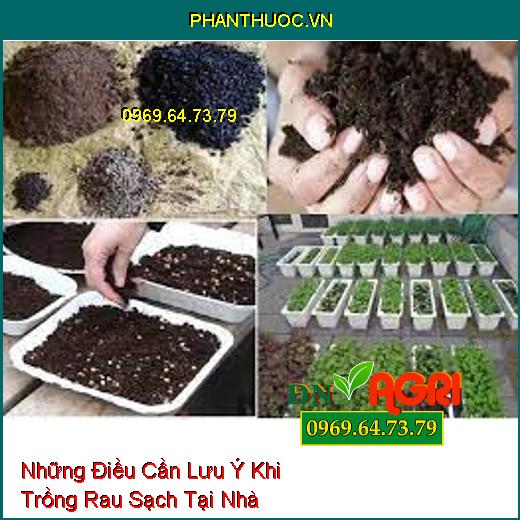 Những Điều Cần Lưu Ý Khi Trồng Rau Sạch Tại Nhà