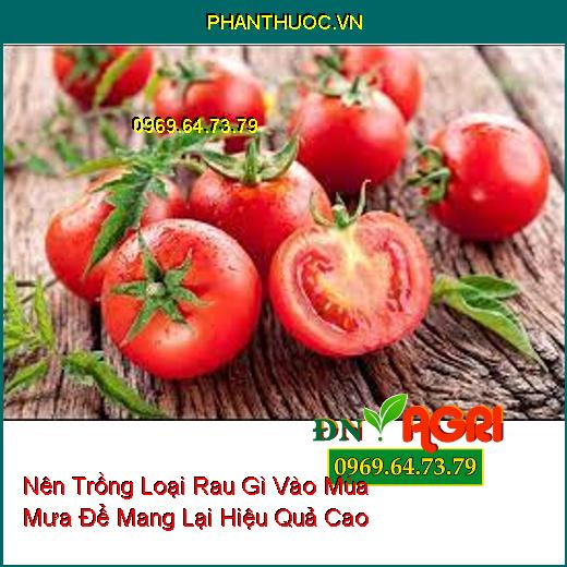 Nên Trồng Loại Rau Gì Vào Mùa Mưa Để Mang Lại Hiệu Quả Cao