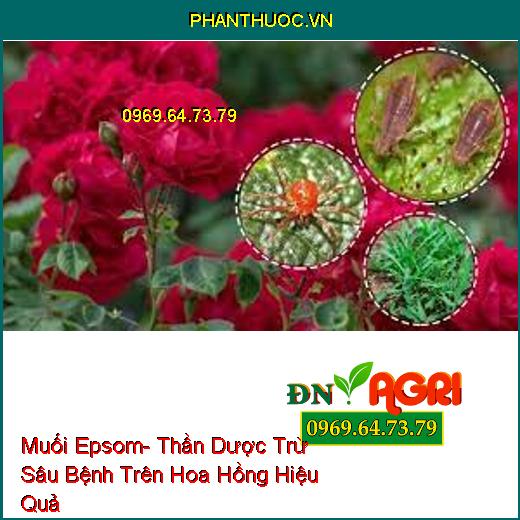 Muối Epsom- Thần Dược Trừ Sâu Bệnh Trên Hoa Hồng Hiệu Quả