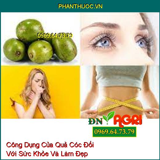 Công Dụng Của Quả Cóc Đối Với Sức Khỏe Và Làm Đẹp