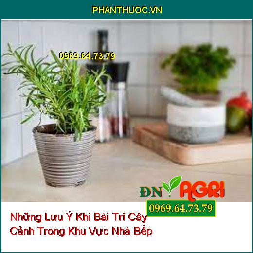 Những Lưu Ý Khi Bài Trí Cây Cảnh Trong Khu Vực Nhà Bếp