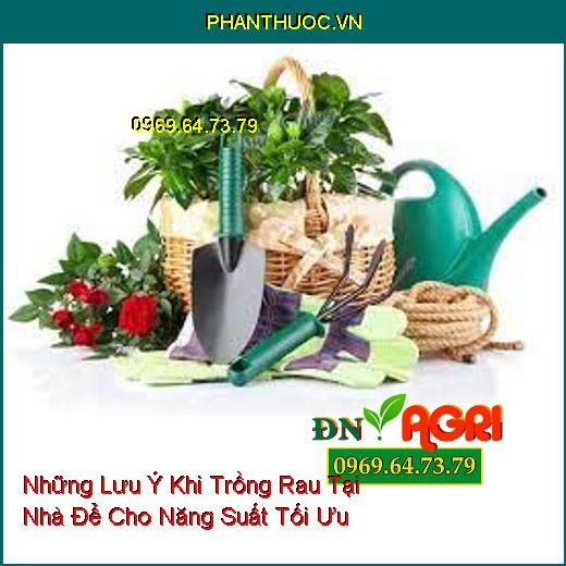 Những Lưu Ý Khi Trồng Rau Tại Nhà Để Cho Năng Suất Tối Ưu