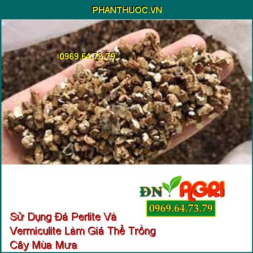 Sử Dụng Đá Perlite Và Vermiculite Làm Giá Thể Trồng Cây Mùa Mưa