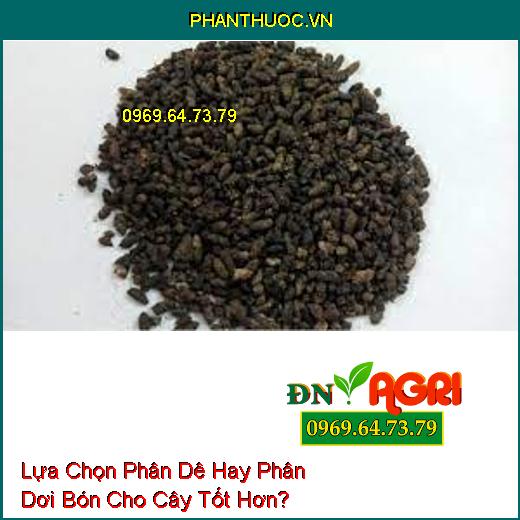 Lựa Chọn Phân Dê Hay Phân Dơi Bón Cho Cây Tốt Hơn?