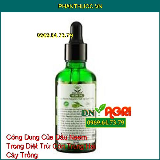 Công Dụng Của Dầu Neem Trong Diệt Trừ Côn Trùng Hại Cây Trồng