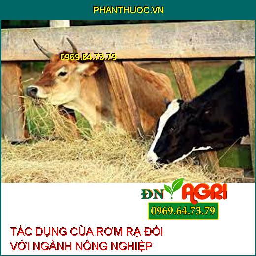 TÁC DỤNG CỦA RƠM RẠ ĐỐI VỚI NGÀNH NÔNG NGHIỆP