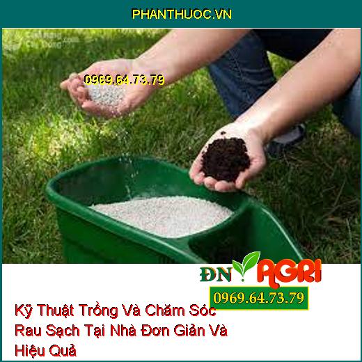 Kỹ Thuật Trồng Và Chăm Sóc Rau Sạch Tại Nhà Đơn Giản Và Hiệu Quả