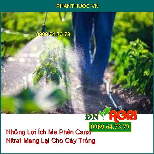 Những Lợi Ích Mà Phân Canxi Nitrat Mang Lại Cho Cây Trồng