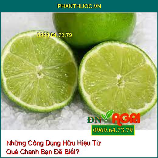 Những Công Dụng Hữu Hiệu Từ Quả Chanh Bạn Đã Biết?