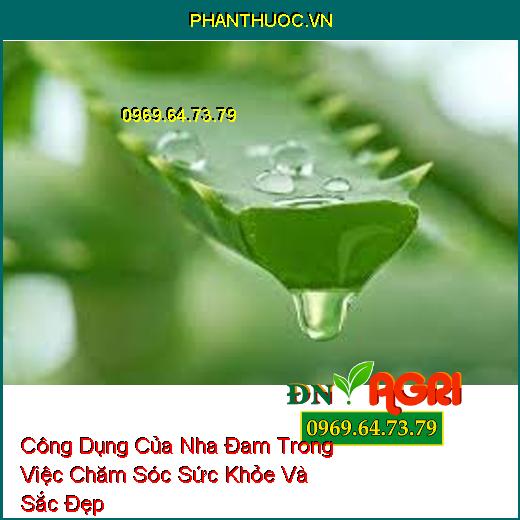 Công Dụng Của Nha Đam Trong Việc Chăm Sóc Sức Khỏe Và Sắc Đẹp