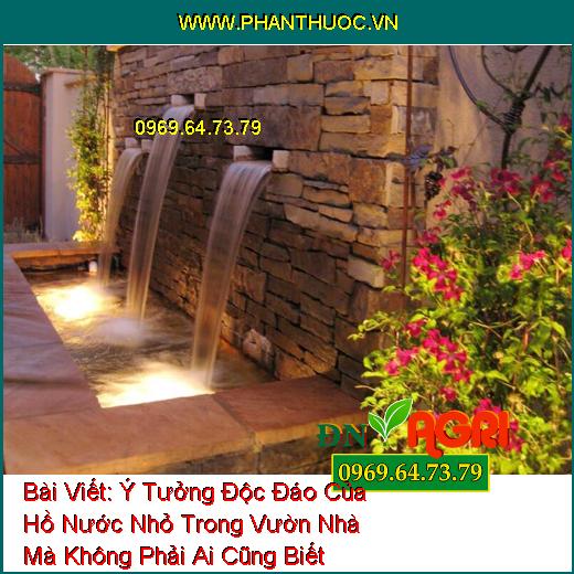 Ý Tưởng Độc Đáo Của Hồ Nước Nhỏ Trong Vườn Nhà Mà Không Phải Ai Cũng Biết