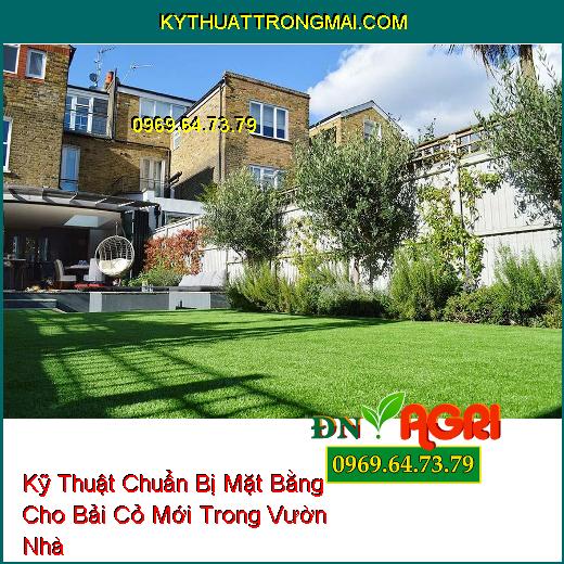 Kỹ Thuật Chuẩn Bị Mặt Bằng Cho Bải Cỏ Mới Trong Vườn Nhà