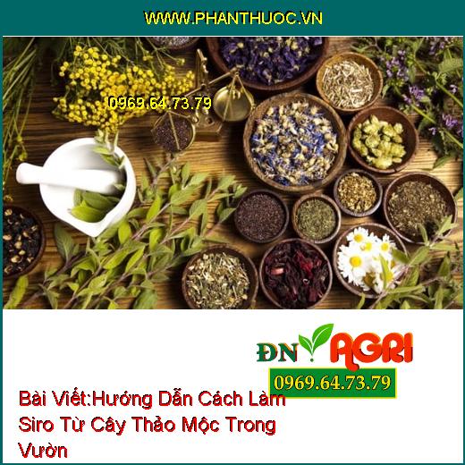 Hướng Dẫn Cách Làm Siro Từ Cây Thảo Mộc Trong Vườn