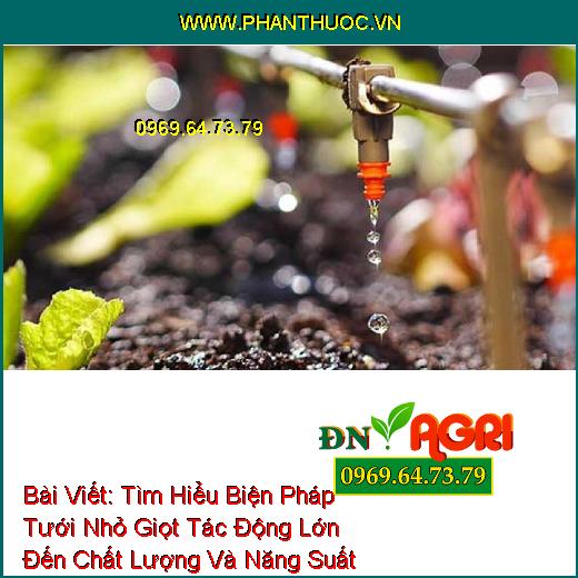 Tìm Hiểu Biện Pháp Tưới Nhỏ Giọt Tác Động Lớn Đến Chất Lượng Và Năng Suất Cây Trồng