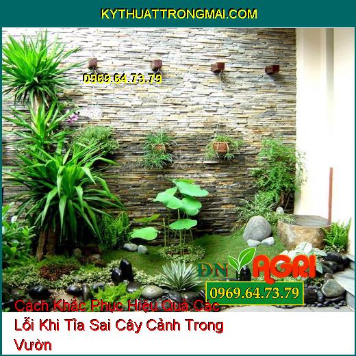 Cách Khắc Phục Hiệu Quả Các Lỗi Khi Tỉa Sai Cây Cảnh Trong Vườn