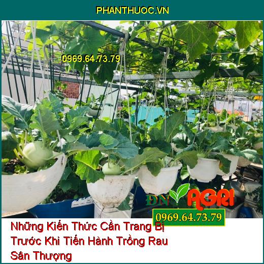 Những Kiến Thức Cần Trang Bị Trước Khi Tiến Hành Trồng Rau Sân Thượng