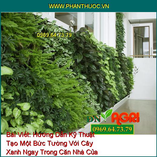 Hướng Dẫn Kỹ Thuật Tạo Một Bức Tường Với Cây Xanh Ngay Trong Căn Nhà Của Bạn