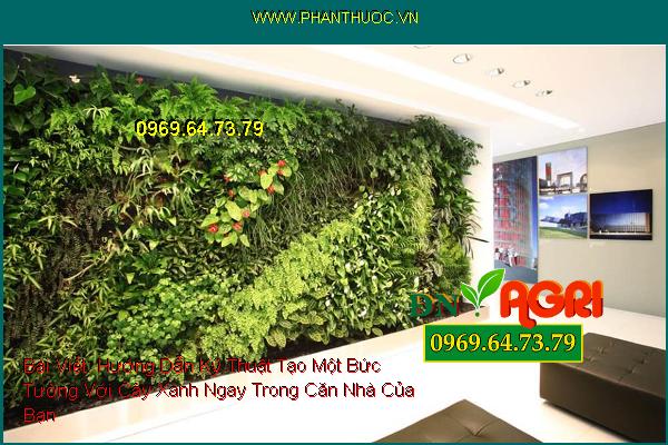 Hướng Dẫn Kỹ Thuật Tạo Một Bức Tường Với Cây Xanh Ngay Trong Căn Nhà Của Bạn