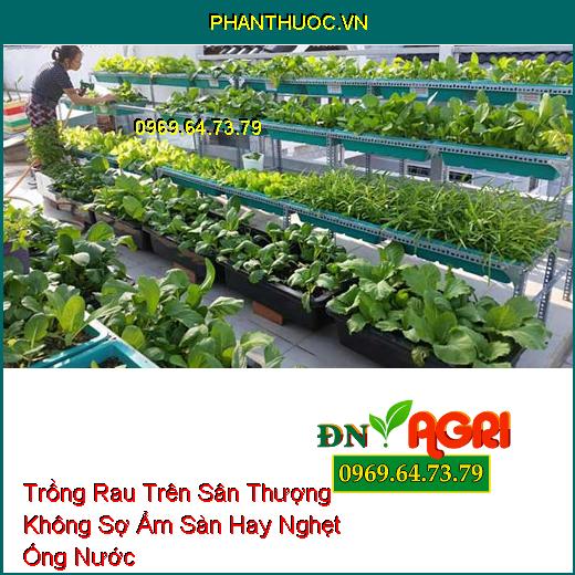 Trồng Rau Trên Sân Thượng Không Sợ Ẩm Sàn Hay Nghẹt Ống Nước