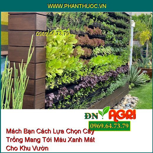 Mách Bạn Cách Lựa Chọn Cây Trồng Mang Tới Màu Xanh Mát Cho Khu Vườn