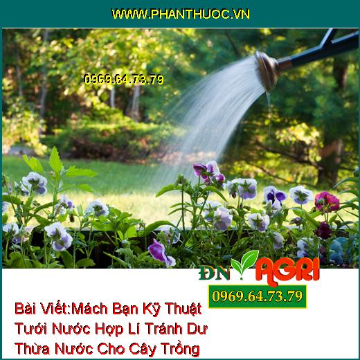 Mách Bạn Kỹ Thuật Tưới Nước Hợp Lí Tránh Dư Thừa Nước Cho Cây Trồng