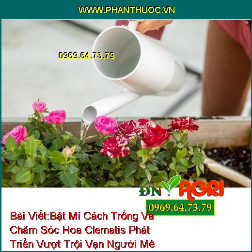 Bật Mí Cách Trồng Và Chăm Sóc Hoa Clematis Phát Triển Vượt Trội Vạn Người Mê