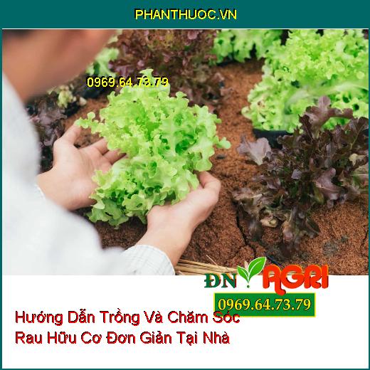 Hướng Dẫn Trồng Và Chăm Sóc Rau Hữu Cơ Đơn Giản Tại Nhà