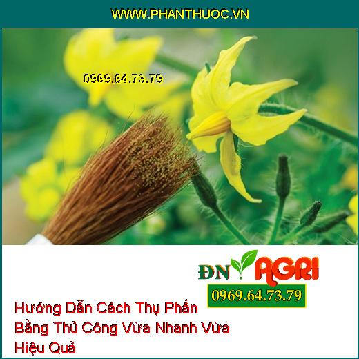 Hướng Dẫn Cách Thụ Phấn Bằng Thủ Công Vừa Nhanh Vừa Hiệu Quả