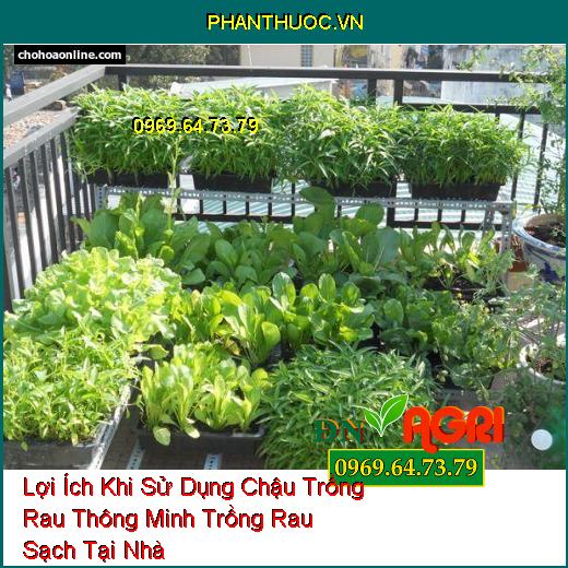 Lợi Ích Khi Sử Dụng Chậu Trồng Rau Thông Minh Trồng Rau Sạch Tại Nhà