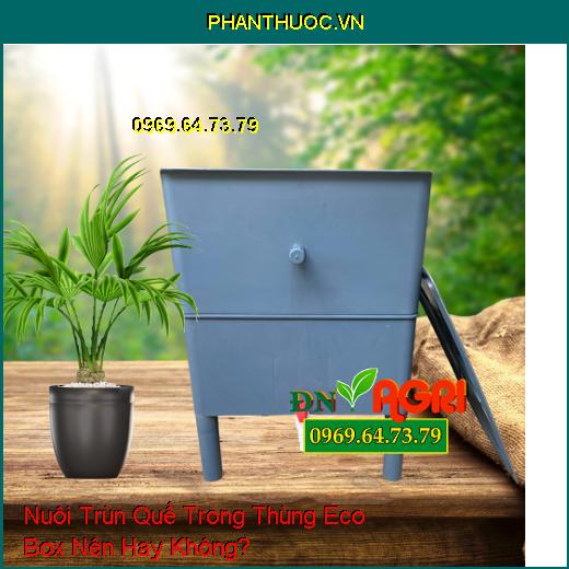 Nuôi Trùn Quế Trong Thùng Eco Box Nên Hay Không?