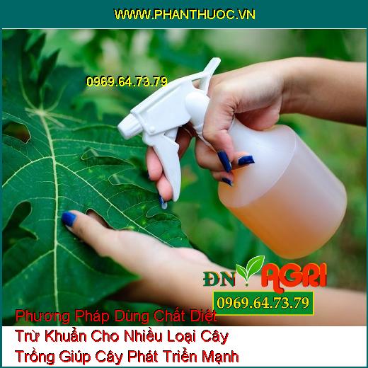 Phương Pháp Dùng Chất Diệt Trừ Khuẩn Cho Nhiều Loại Cây Trồng Giúp Cây Phát Triển Mạnh Khỏe