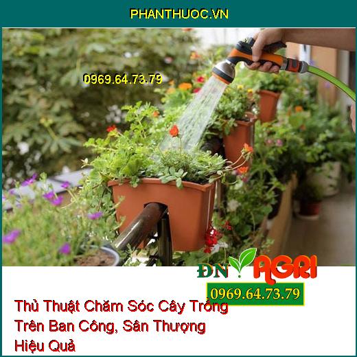 Thủ Thuật Chăm Sóc Cây Trồng Trên Ban Công, Sân Thượng Hiệu Quả