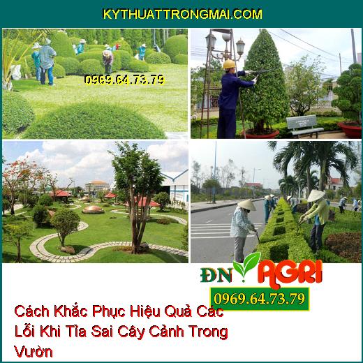 Cách Khắc Phục Hiệu Quả Các Lỗi Khi Tỉa Sai Cây Cảnh Trong Vườn