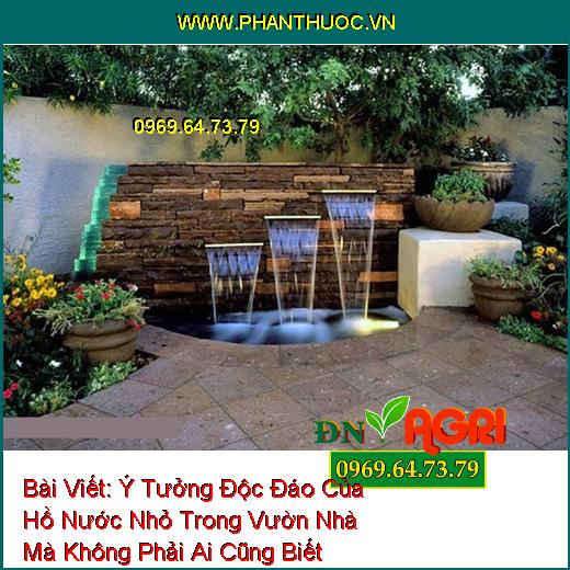 Ý Tưởng Độc Đáo Của Hồ Nước Nhỏ Trong Vườn Nhà Mà Không Phải Ai Cũng Biết