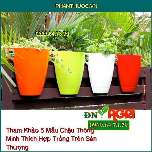 Tham Khảo 5 Mẫu Chậu Thông Minh Thích Hợp Trồng Trên Sân Thượng