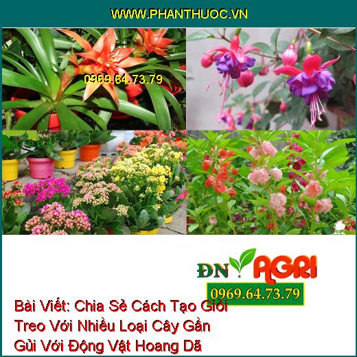 Chia Sẻ Cách Tạo Giỏi Treo Với Nhiều Loại Cây Gần Gủi Với Động Vật Hoang Dã Trong Vườn